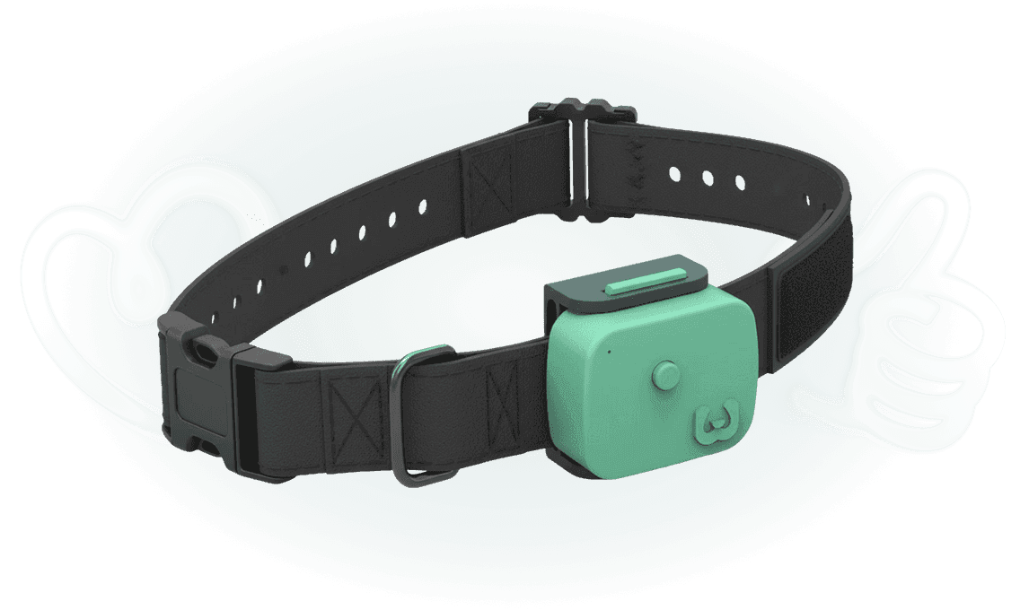 WellPet smart collar